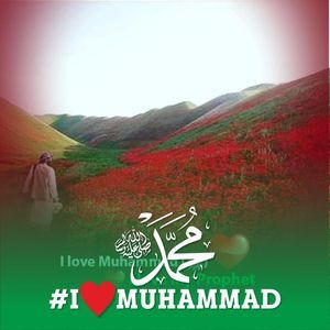 Meet your Posher, Hamza